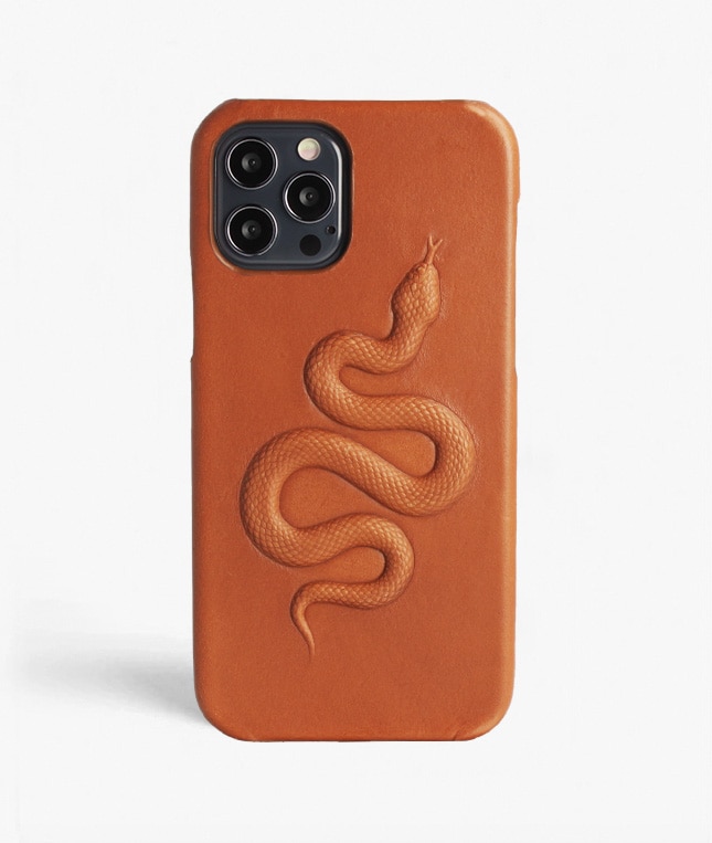 iPhone 12/iPhone 12 Pro Skal Snake Brun