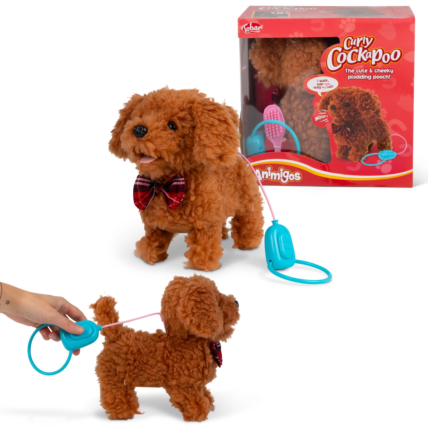 Curly Cockapoo Gående hund med ljud