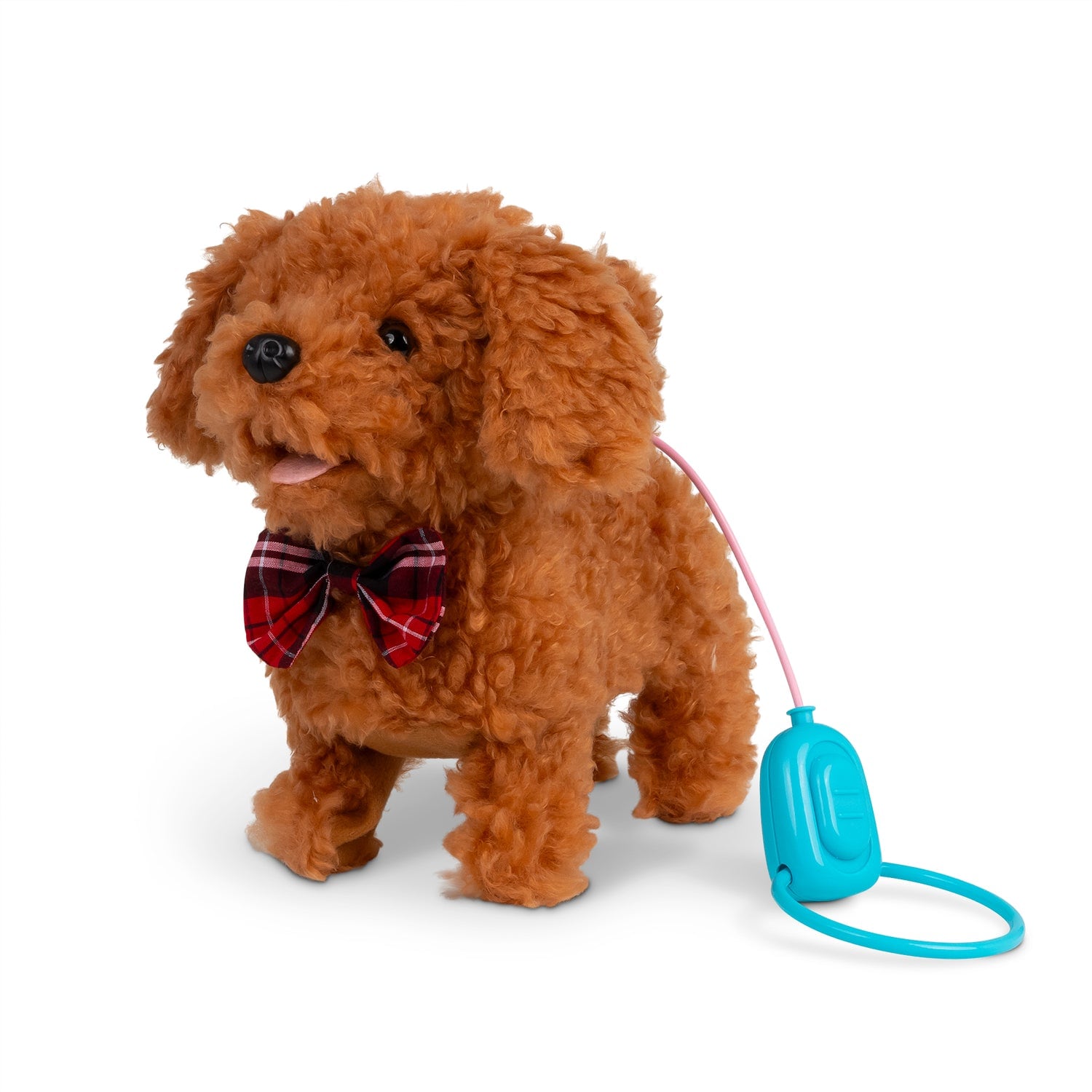 Curly Cockapoo Gående hund med ljud