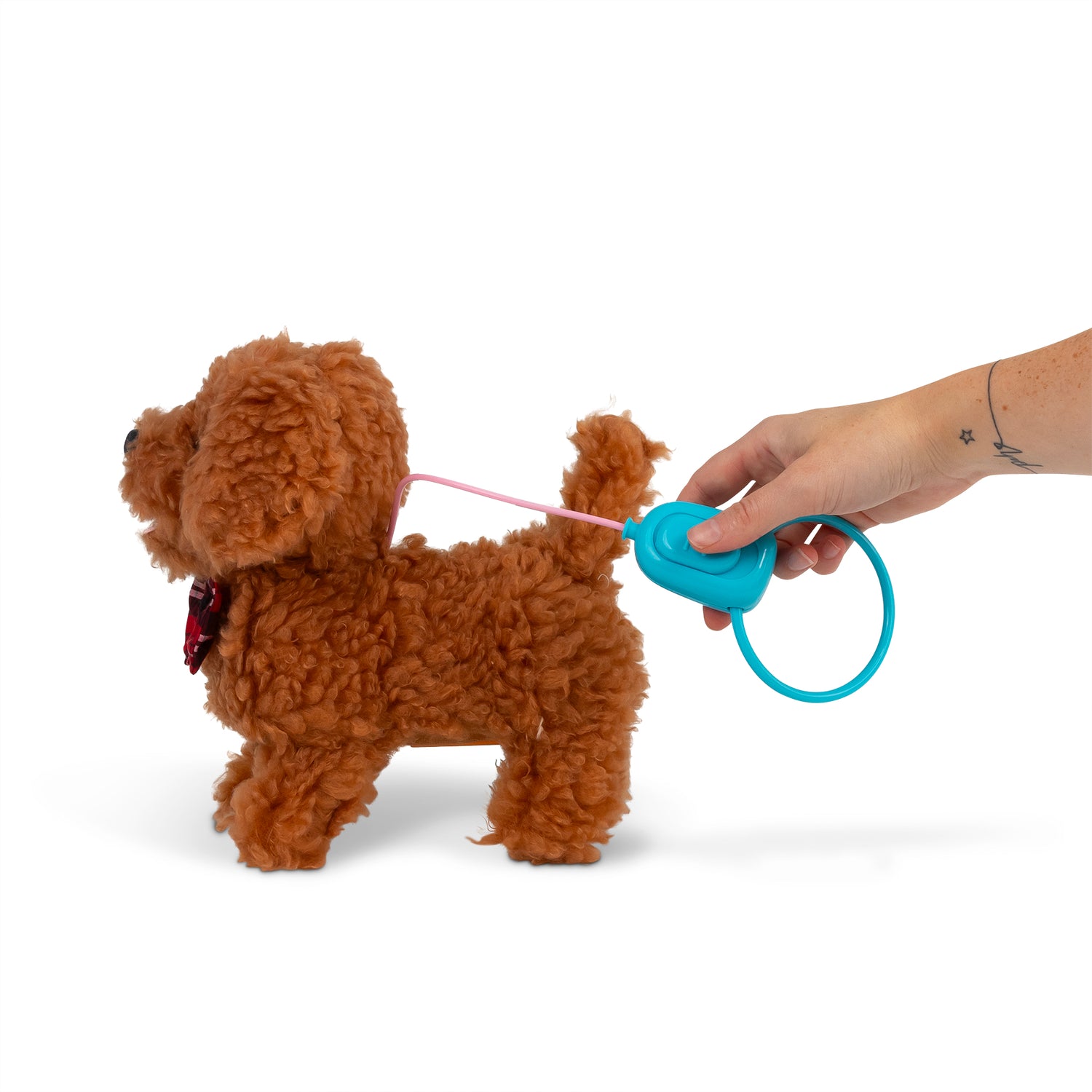 Curly Cockapoo Gående hund med ljud
