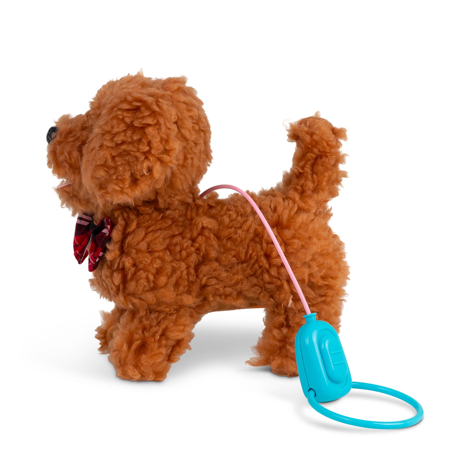 Curly Cockapoo Gående hund med ljud